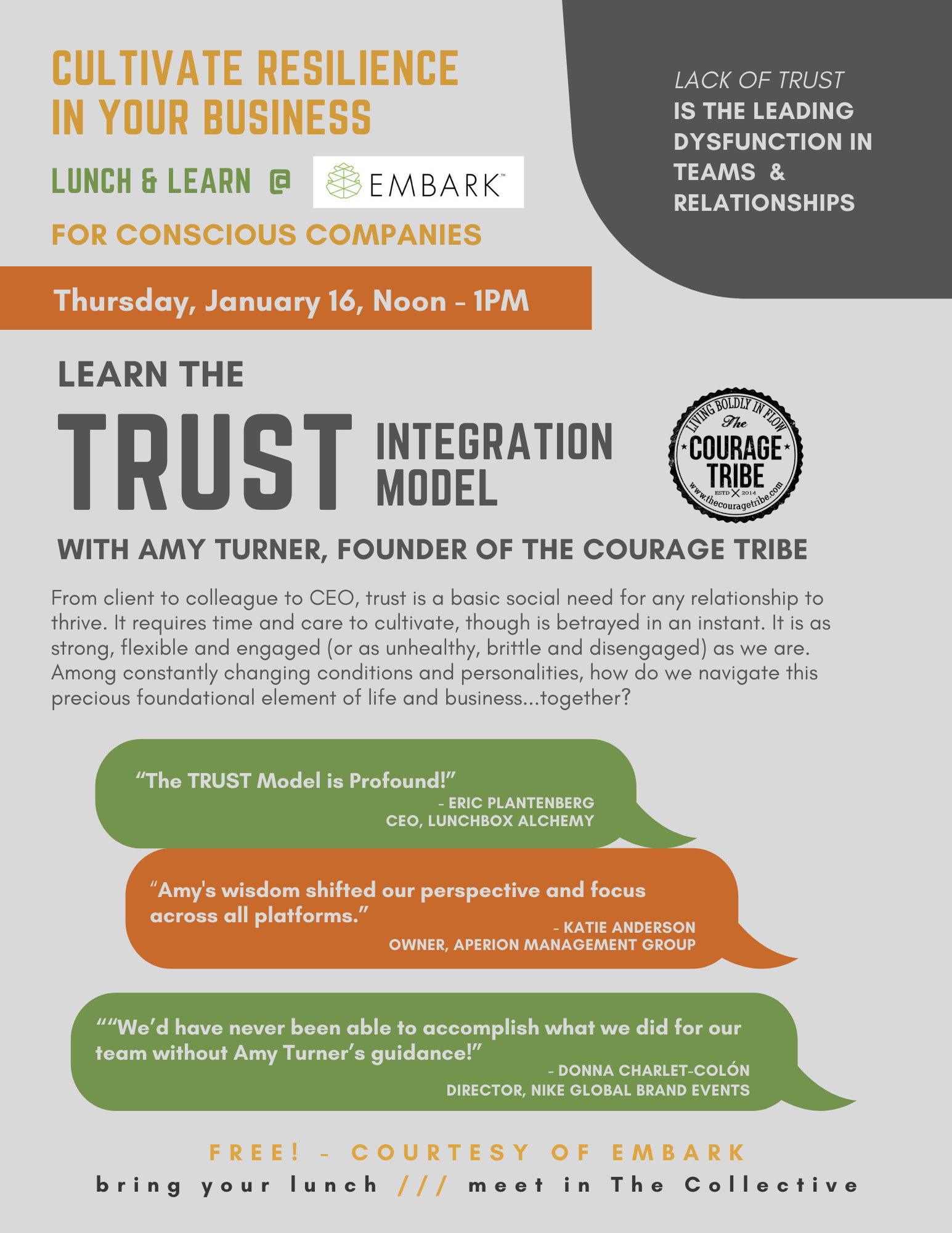 FREE Lunch & Learn: Trust Model with Amy Turner of the Courage Tribe